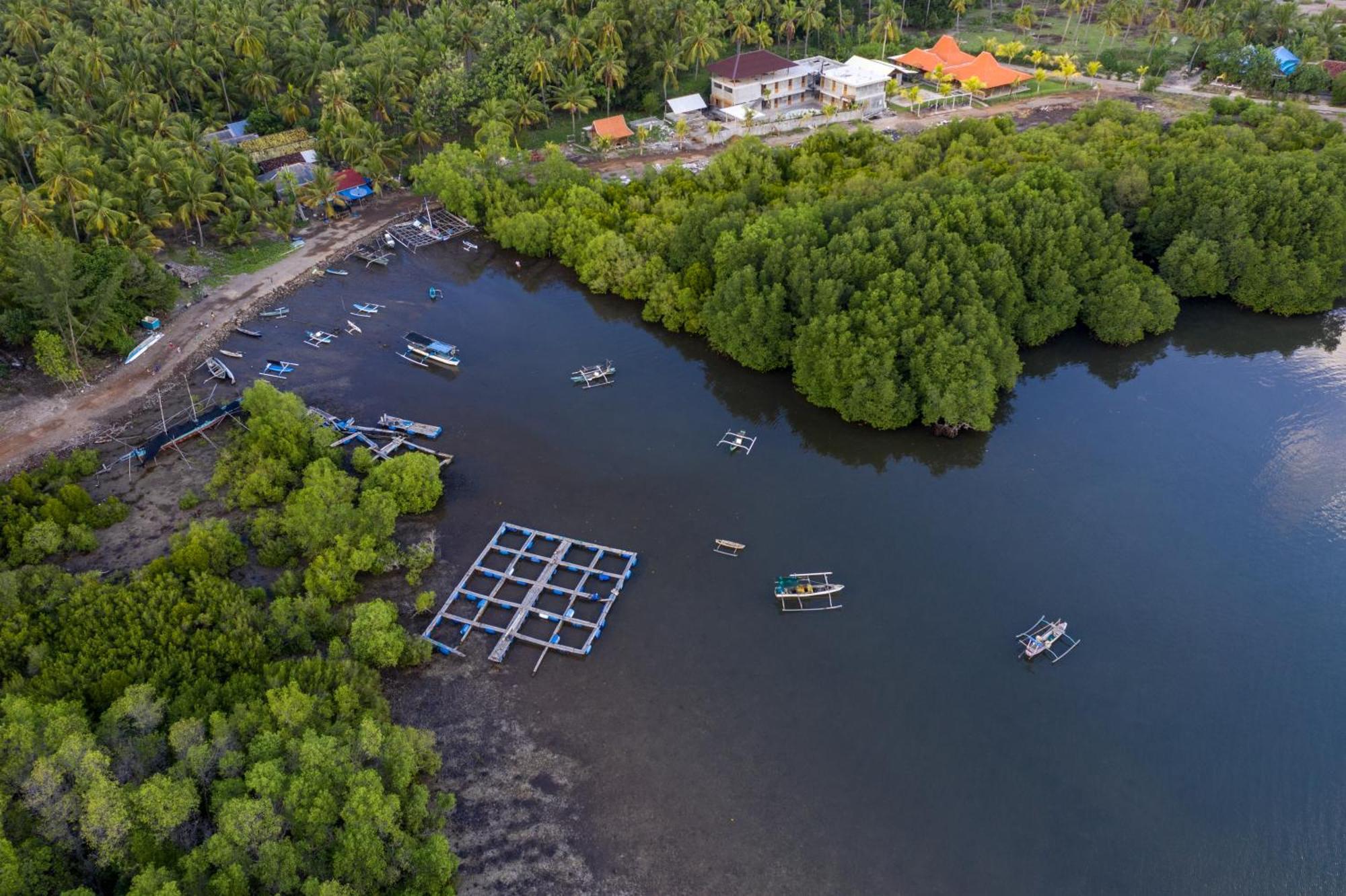 Mangroove Bay Boutique Hostel Banyuwedang Ngoại thất bức ảnh